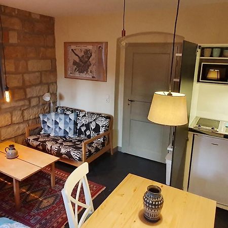 Villa Haniel Apartment Leo Dresde Exterior foto